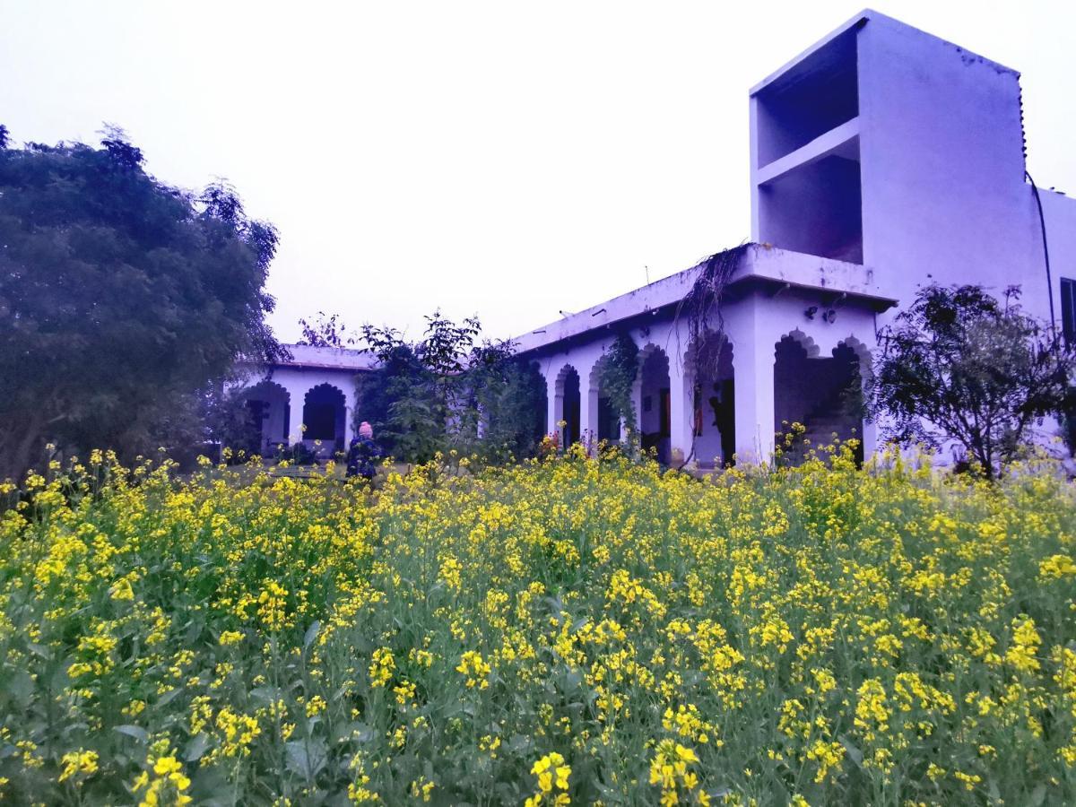 דירות Royal Farm בהאראטפור מראה חיצוני תמונה